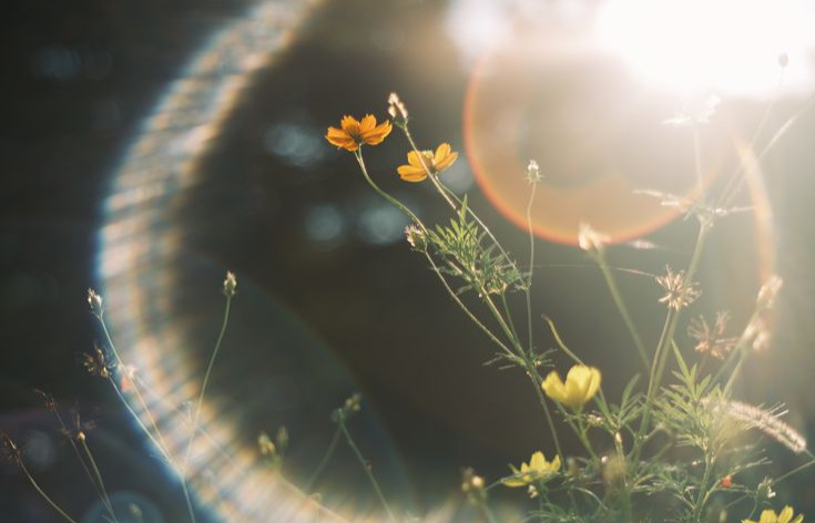 f731747e2d47212e80941b0482c1f853(1)